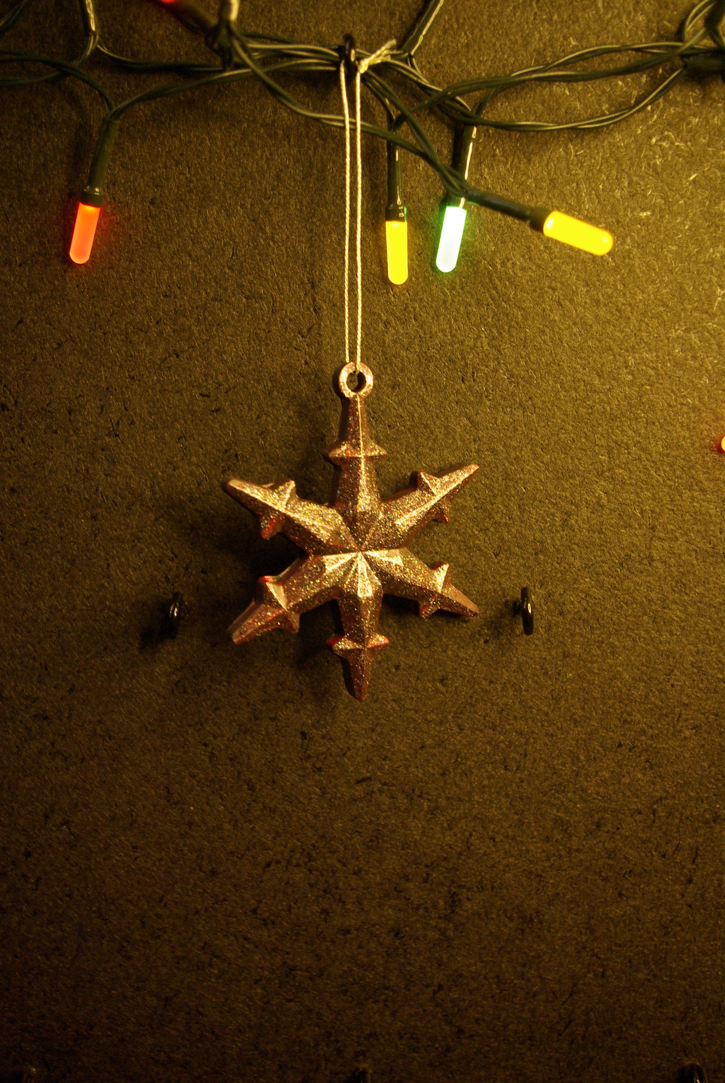 Etoile de Noël