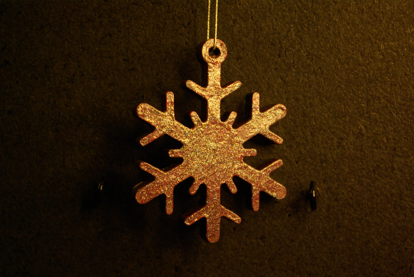 Etoile de Noël